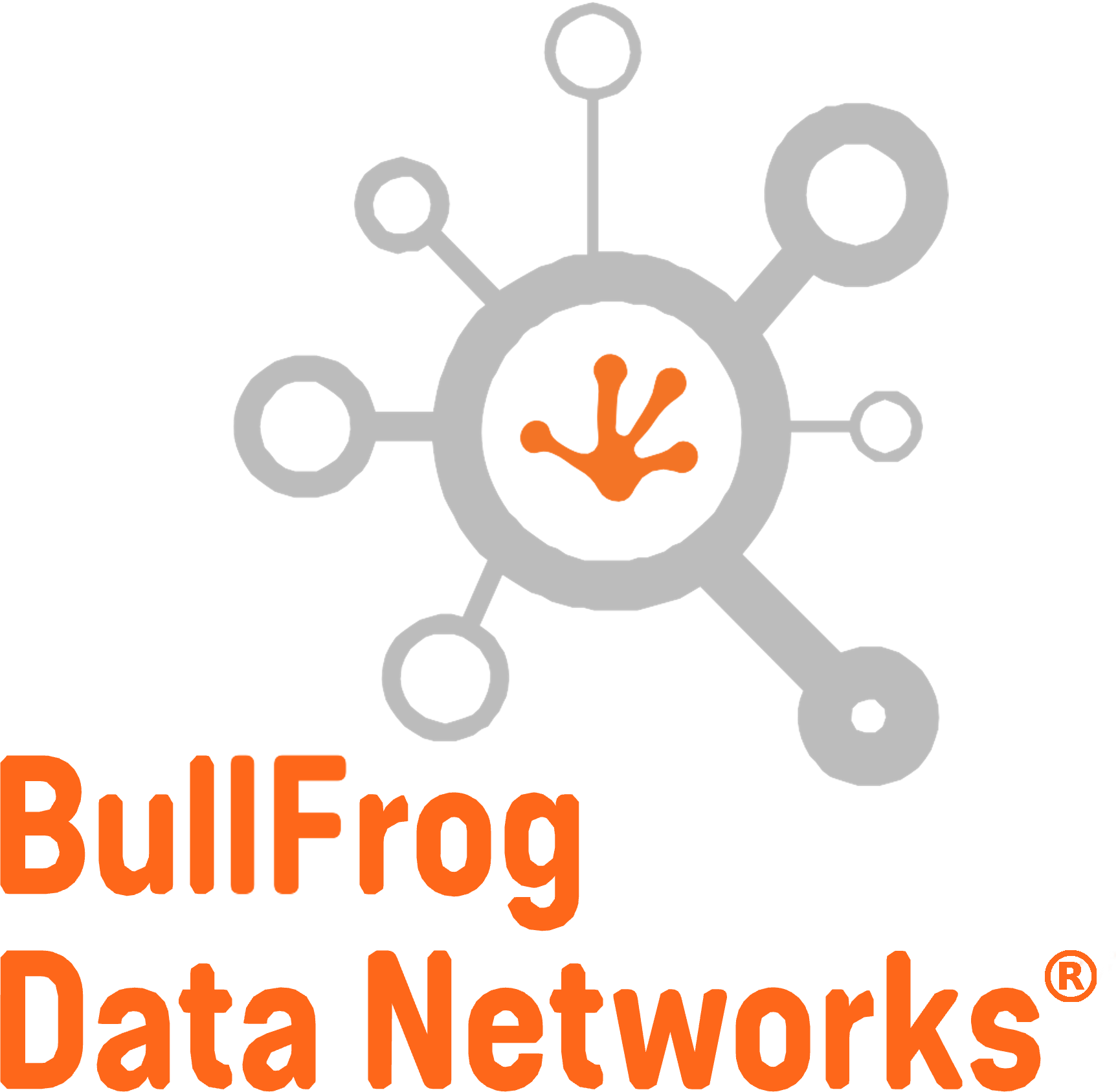 BullFrog Data Networks